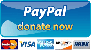 PayPal-Donate-Button-PNG-Picture.png